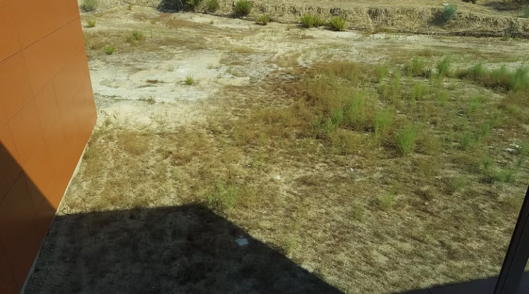 Captura de pantalla 2025-12-22 150344